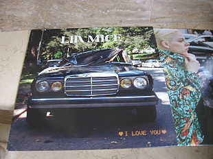Lia Mice ‎– I Love You (USA ) ( White With Black Swirl ) Shoegaze, Experimental, Electro LP