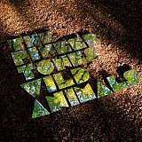 The Pinker Tones – Wild Animals ( USA )