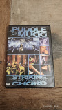 Puddle of Mudd "Striking that Familiar Chord" (alternative / acoustic rock)