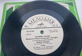 Чарівні гітари - Добрый дождик / Ганка (7") РЗГ
