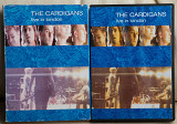 The Cardigans ‎– Live In London DVD