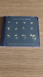 Esthetic Education – Werewolf