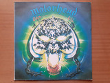 Виниловая пластинка LP Motörhead ‎– Overkill