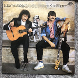 Lubomir Brabek, Karel Vagner. Transformations/