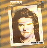 Meat Loaf – Blind Before I Stop