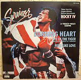 Stallone - Rocky-IV. Burning Heart - 1985. (EP) 12. Vinyl. Пластинка. Germany.