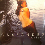 Вінілова платівка Cassandra Wilson – New Moon Daughter 2LP