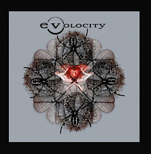 Evolocity – Evolocity ( USA )