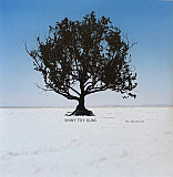 Shiny Toy Guns – We Are Pilots