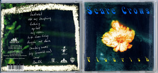 Scare Crows – Flourish