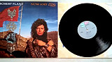 ROBERT PLANT ( LED ZEPPELIN ) NOW AND ZEN ( ESPARANZA 790 863 1 for UK WX 149 A/B ) 1988 GERMANY