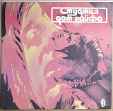 Stooges 1970г. "Fun House".
