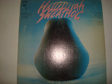 SWEATHOG- Hallelujah 1972 Orig.+Big Poster USA Rock Blues Rock Hard Rock
