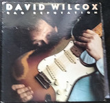 David Wilcox – Bad Reputation