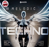 Вінілова платівка Melodic Techno 2025