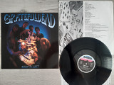 GRATEFUL DEAD BUILT TO LAST ( ARISTA 210 326 A1/B1 ) 1989 GERMANY