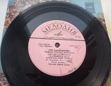 Мария Кодряну - Видишь, Улетают Ласточки (7", Mono, Pin) 1971