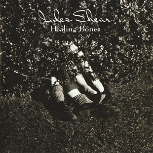 Jules Shear – Healing Bones ( USA ) + Rick Danko + Argent + Tony Levin + Elliot Easton