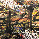 Drivin' N' Cryin' – Mystery Road ( USA )
