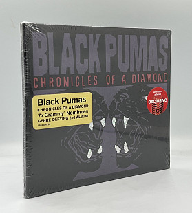 Black Pumas – Chronicles Of A Diamond (2023, U.S.A.)