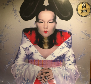 Björk – Homogenic