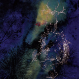 Bardo Pond – Under The Pines