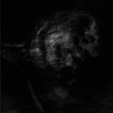 Adaestuo – Tacent Semitae