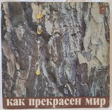 V.A. Как Прекрасен Мир. Давид Тухманов (Песни) 1972. (LP). 12. Vinyl. Пластинка.