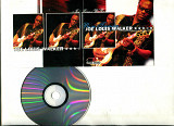 Продаю CD Joe Louis Walker “Pasa Tiempo” – 2002