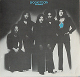 Spooky Tooth (Mirror) 1974. (LP). 12. Vinyl. Пластинка. Germany.
