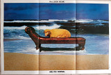 10 CC LOOK HEAR ? ARE YOU NORMAL ( MERCURY 9105 505 A1/B1 ) with Poster 1980 ENGL