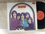 The New Seekers – Now ( Germany ) LP