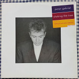 Peter Gabriel – Shaking The Tree