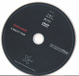 David Bowie ‎– A Reality Tour