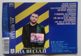 Василь Мельникович - На Весіллі