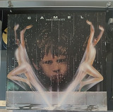 Camel – Rain Dances