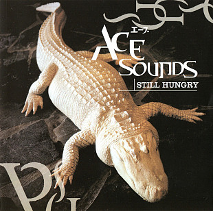Ace Sounds – Still Hungry
