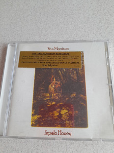 Van Morrison, die Toten Hosen, Blondie, Pieter Gabriel....