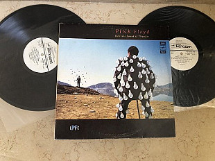 Pink Floyd – Delicate Sound Of Thunder ( 2 x LP )