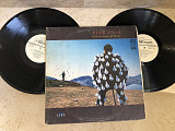Pink Floyd – Delicate Sound Of Thunder ( 2 x LP )