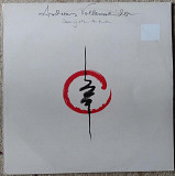 Andreas Vollenweider ‎– Dancing With The Lion