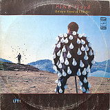 Pink Floyd - Delicate Sound of Thunder (2 LP)