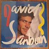 David Sanborn - A Change Of Heart NM/NM-