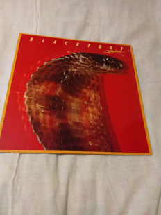 Blackfoot/strikes/1979
