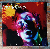 Alice In Chains – Facelift