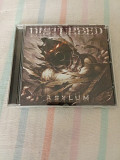 Disturbed/asylum/2010