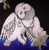 Вінілова платівка Songs: Ohia – The Magnolia Electric Co 2LP