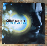 Chris Cornell – Euphoria Mourning