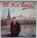 Андрей Никольский - Что Там Вдали - 1991. (LP). 12. Vinyl. Пластинка. Rare.