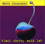 David Fiuczynski – Black Cherry Acid Lab ( USA & Europe ) Hip Hop, Jazz, Rock